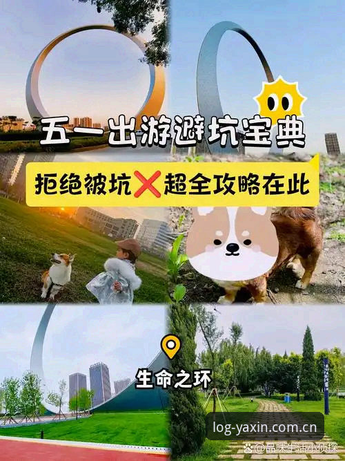 亚新综合体育登录入口中国站中国官网最新动态：数据背后的逻辑，篮球迷避坑指南